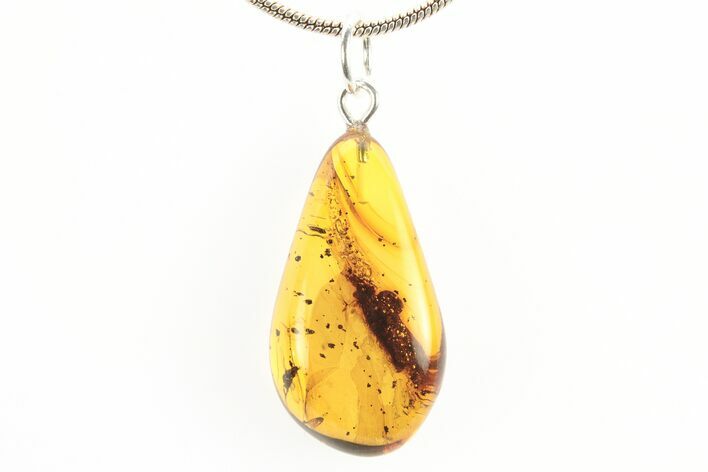 Polished Baltic Amber Pendant (Necklace) - Contains Fly! #273503